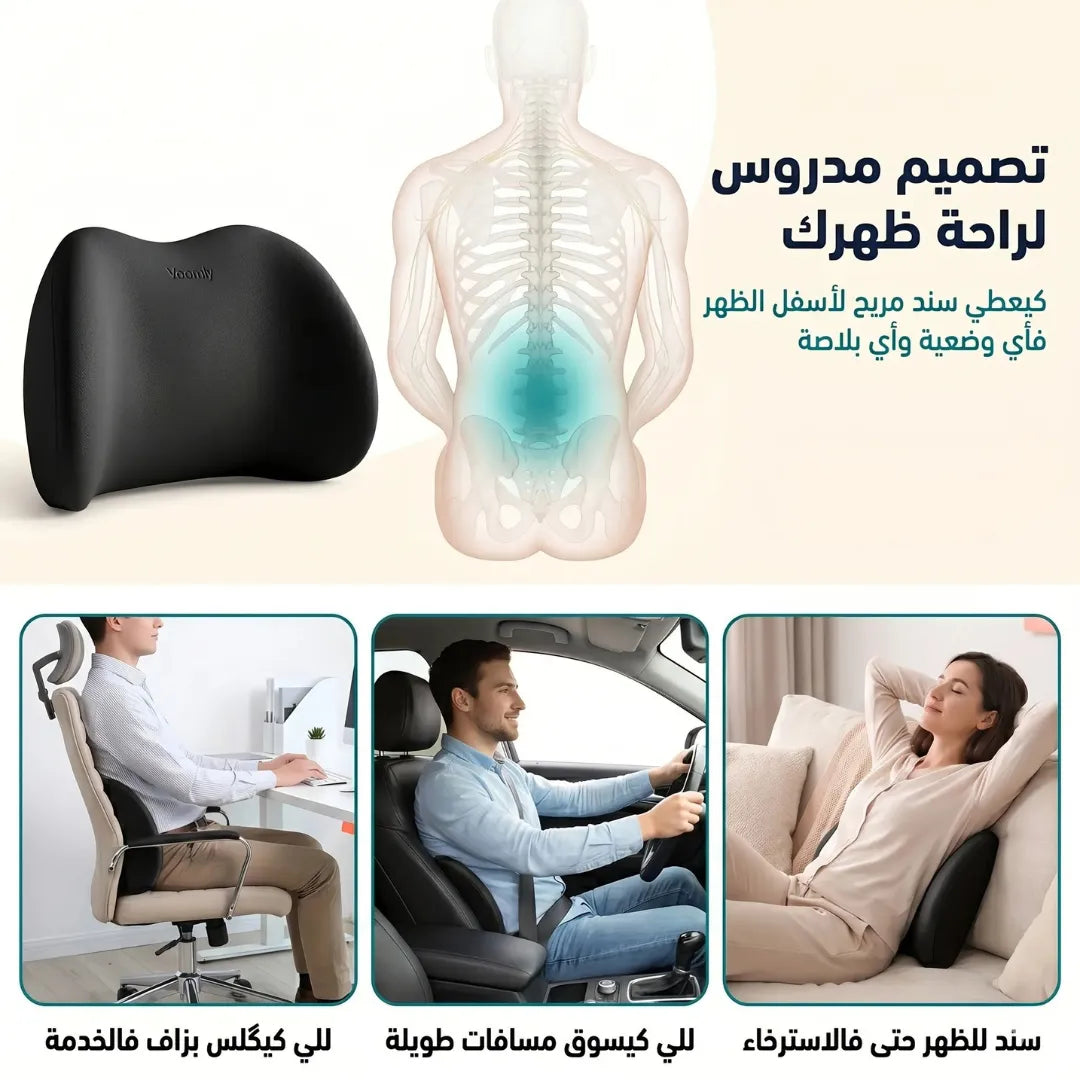 Coussins Voiture Appui-Tête + Lombaire